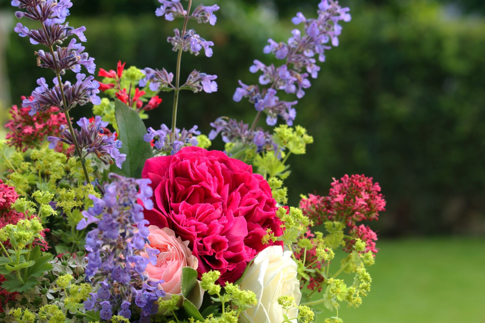 Canon EF-S 55-250mm F4-5.6 IS STM sample photo. Bouquet, summer, summer bouquet photography