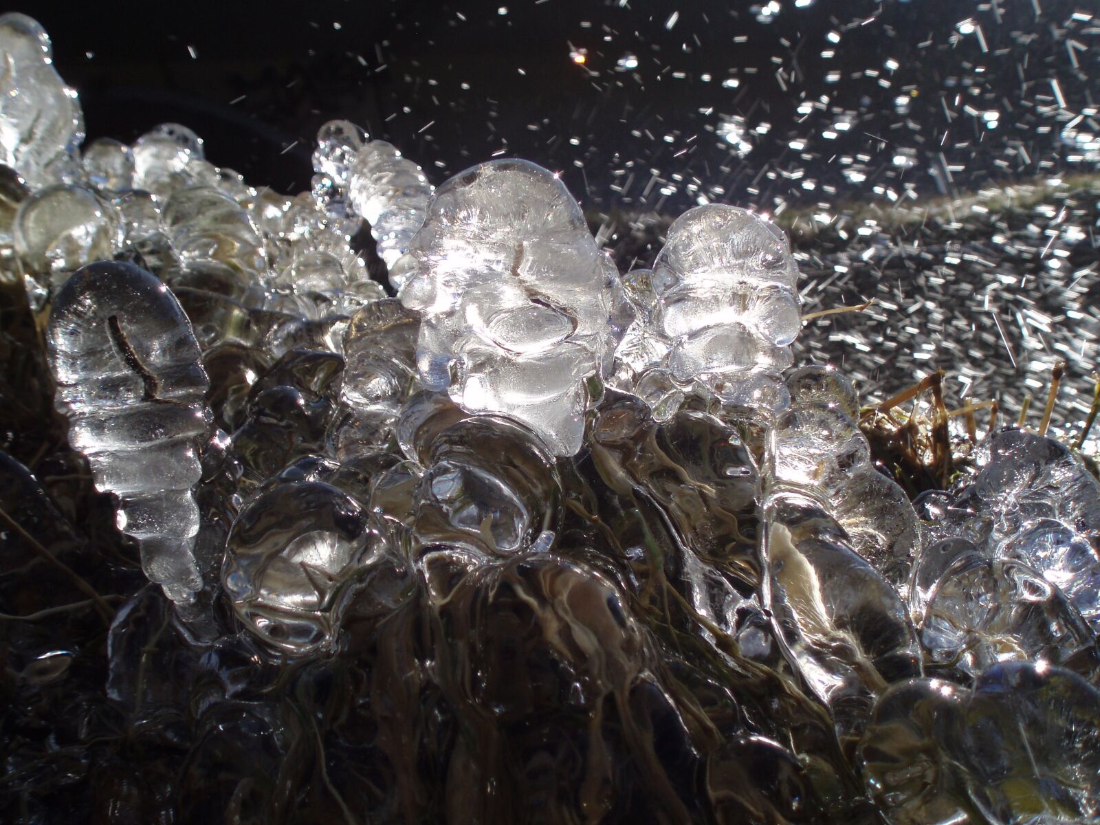 Olympus u700,S700 sample photo. Ice, water, frozen photography