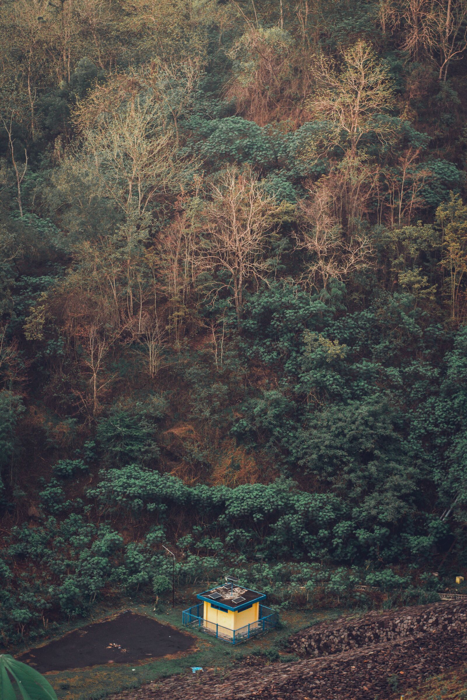 YN50mm f/1.8 II sample photo. House, home, nature photography