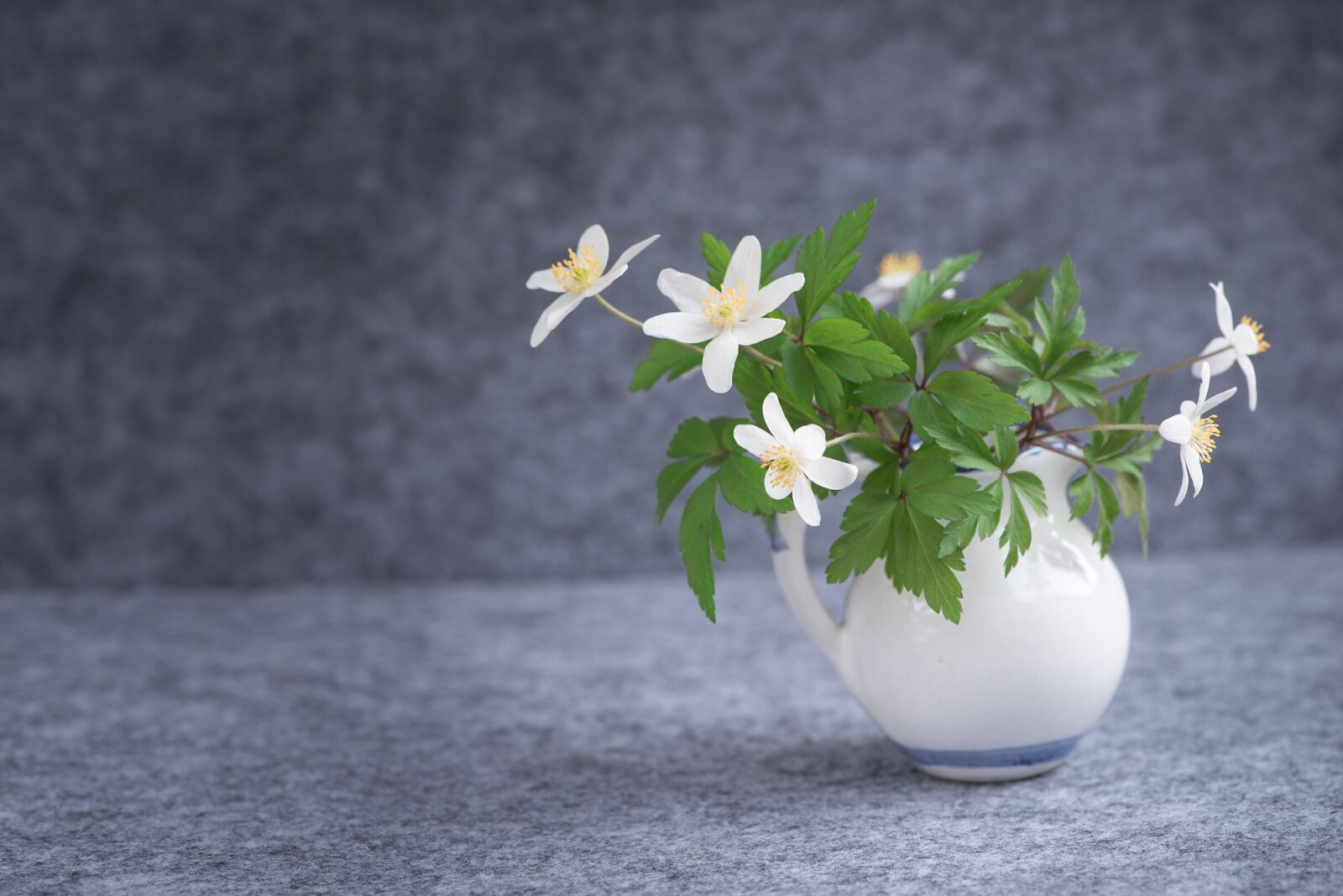 Nikon D750 sample photo. Bush-windr schen, ranunculaceae, anemone photography