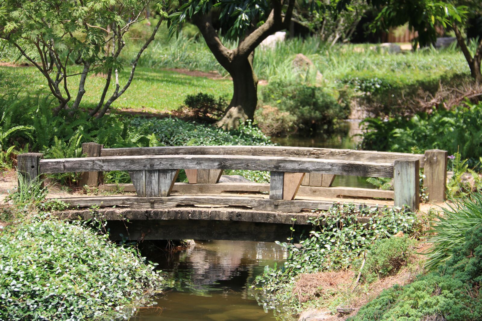 Canon EOS 750D (EOS Rebel T6i / EOS Kiss X8i) sample photo. Japanese, park, nature photography