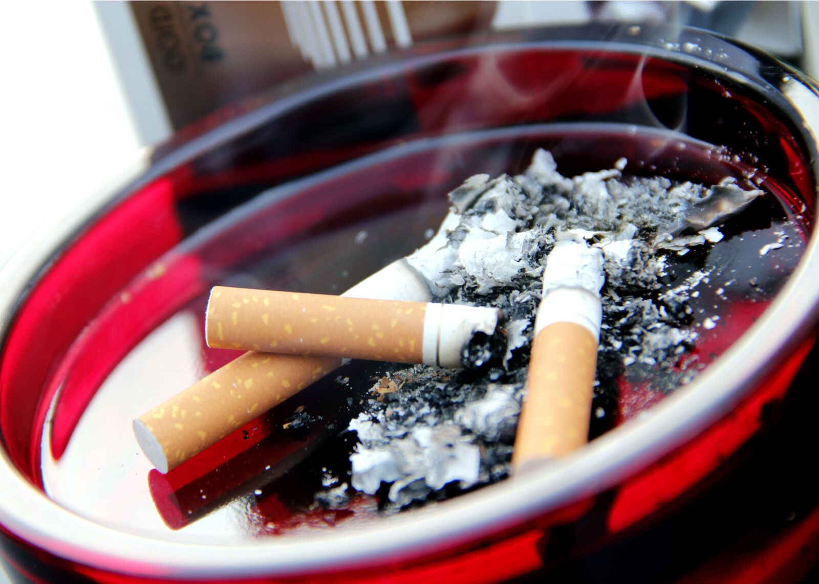 Canon EOS 600D (Rebel EOS T3i / EOS Kiss X5) sample photo. Cigarette, butts, ashes photography