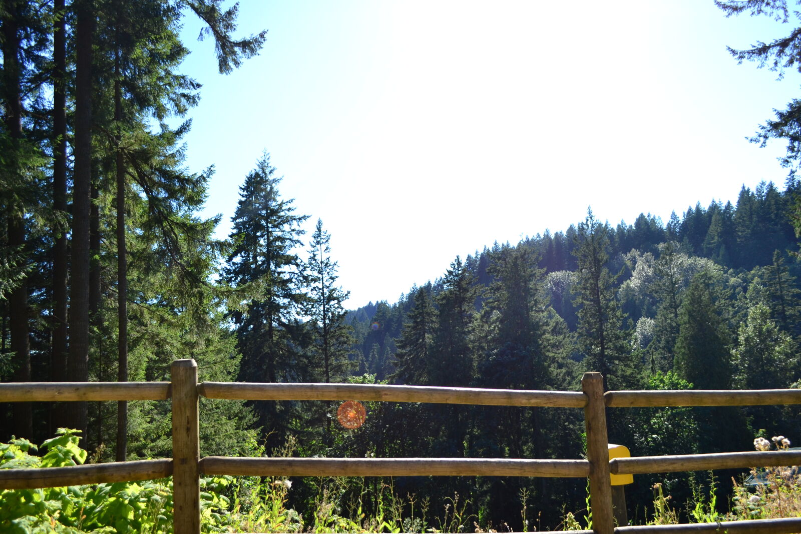 Nikon D3100 sample photo. Blue, blue, sky, green photography