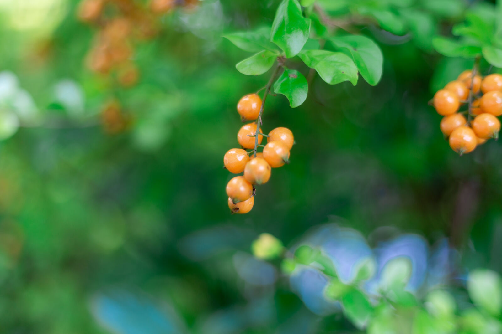 Canon EOS 6D sample photo
