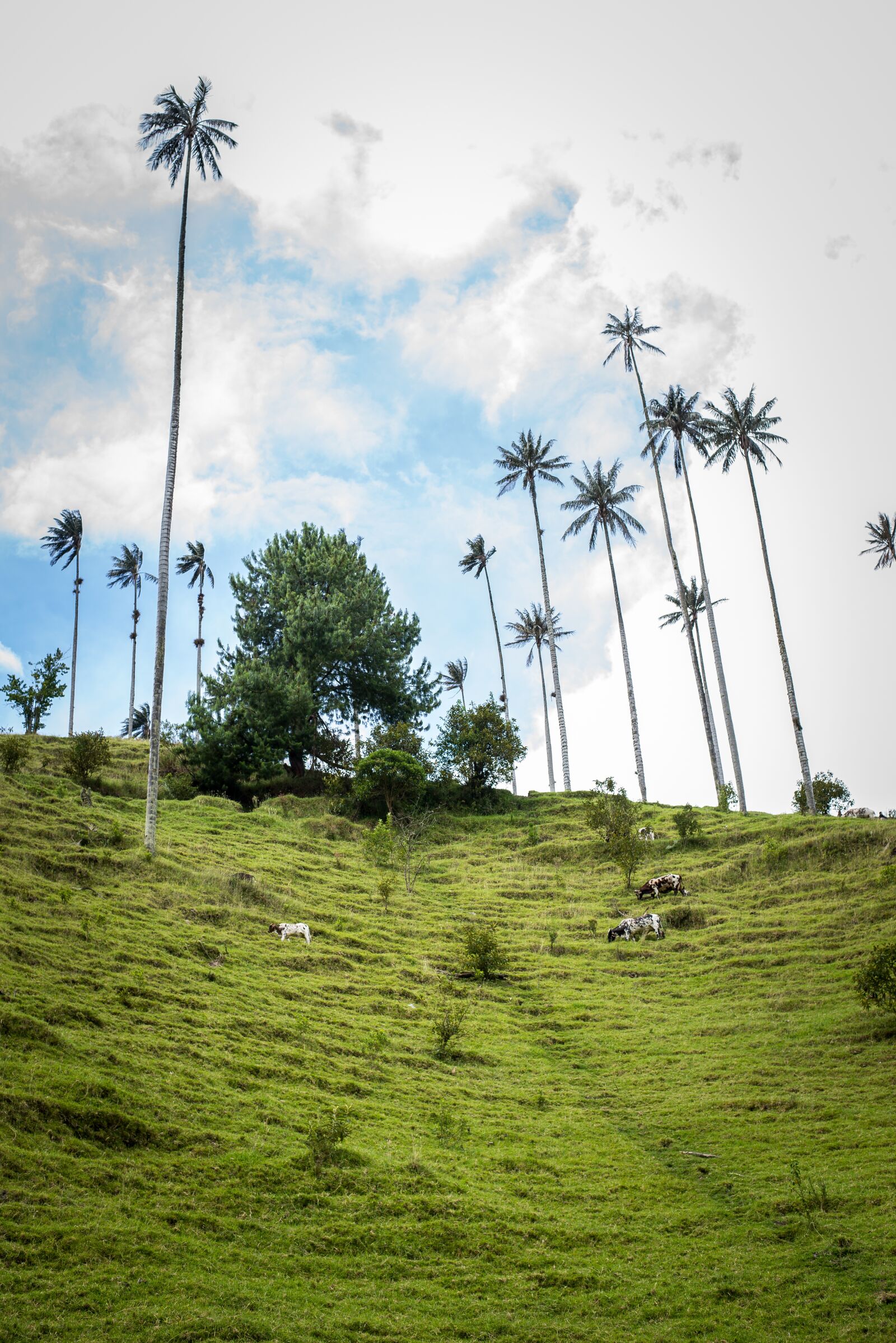 Nikon D610 sample photo. Nature, sky, mountain photography