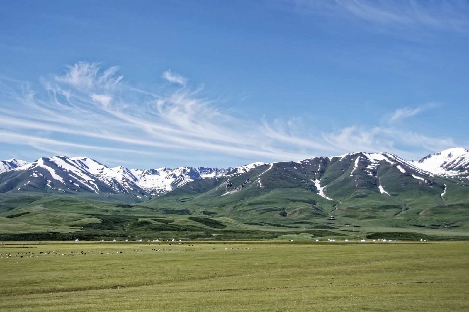 Nikon D500 sample photo. Kyrgyzstan, mountains, suusamyrtoo mountain photography