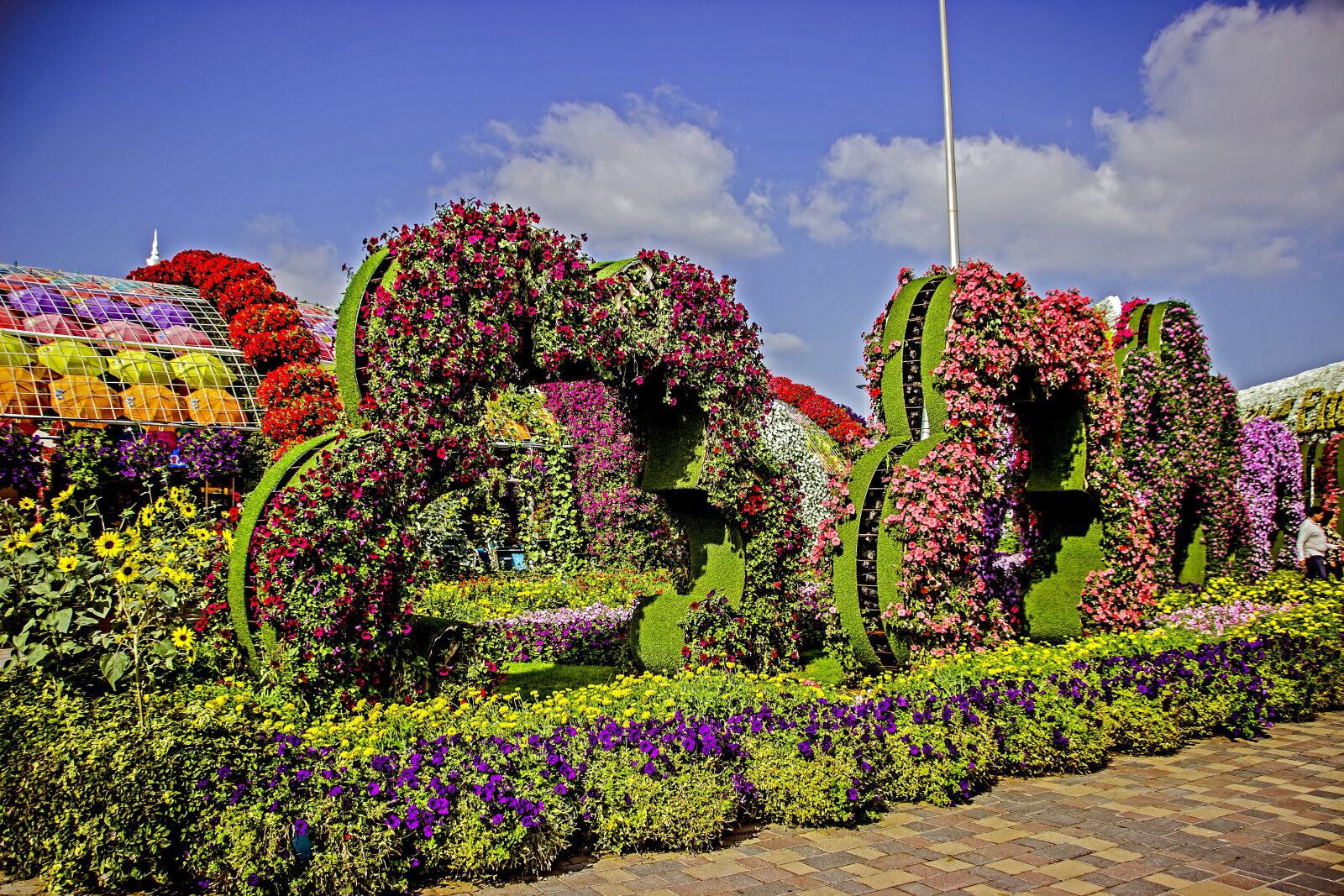 Canon EOS 600D (Rebel EOS T3i / EOS Kiss X5) sample photo. Miracle garden dubai, flowers photography