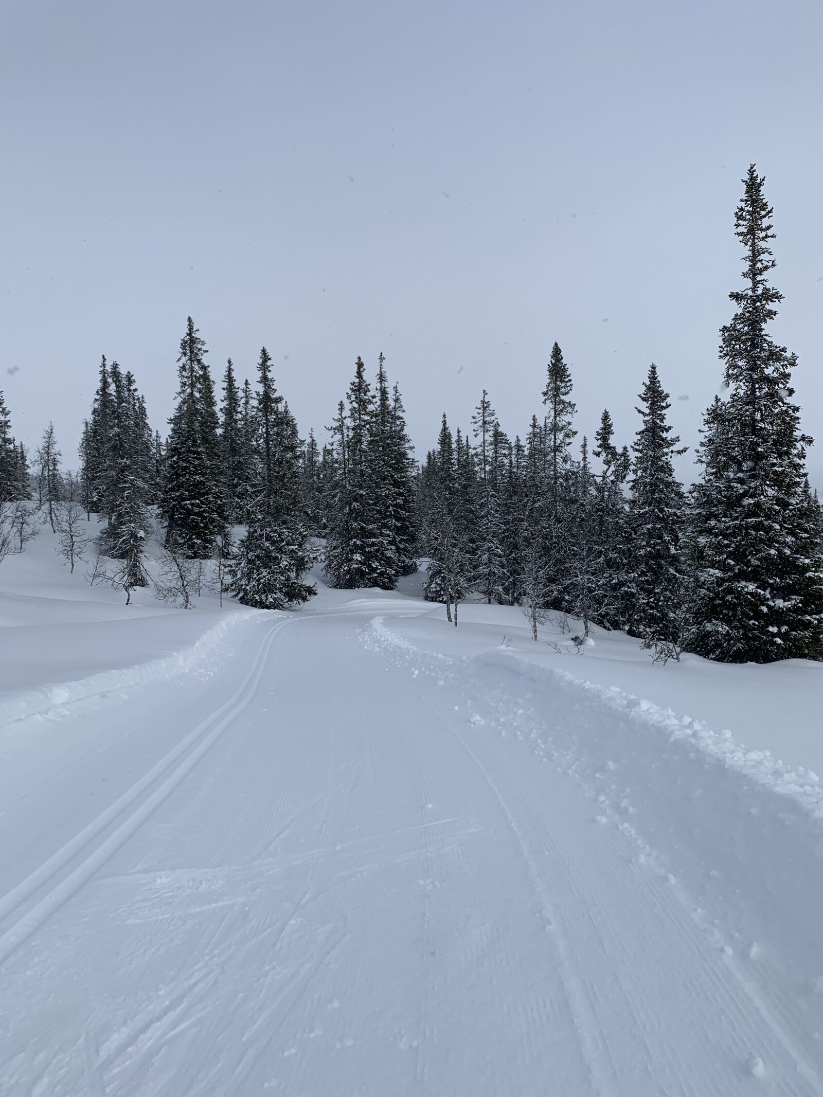 Apple iPhone XR sample photo. Cross-country, skiing, tracks photography