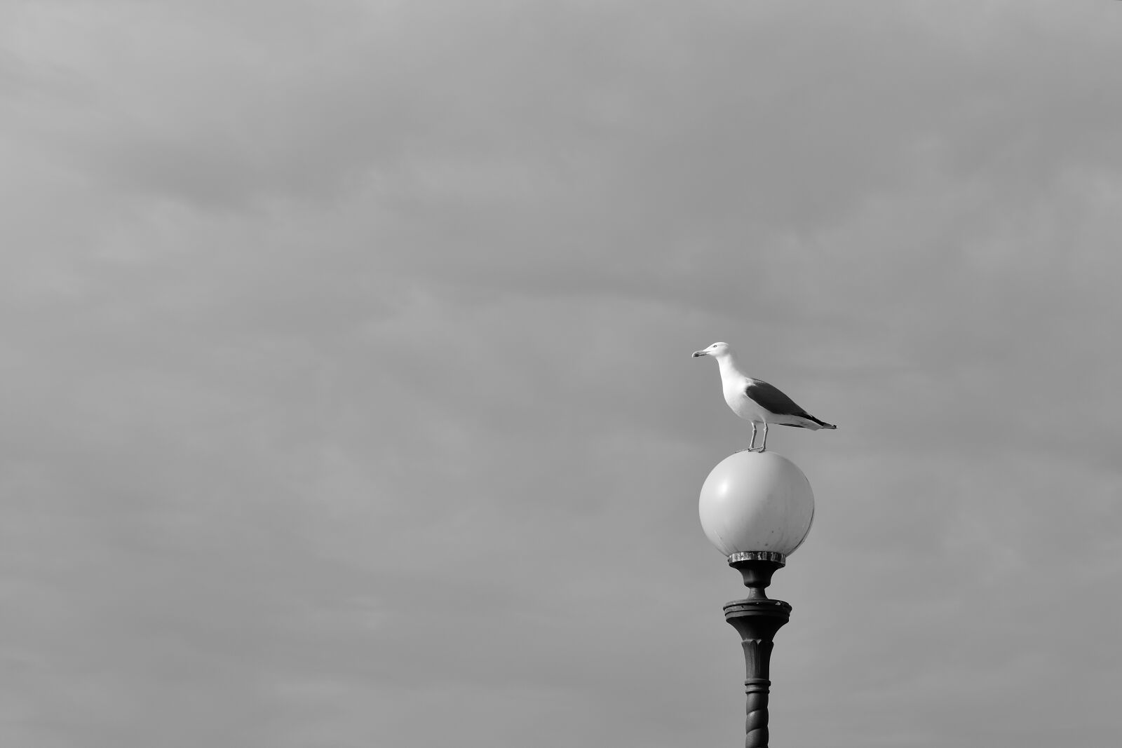 Nikon D3300 sample photo. Leghorn, landscape, views photography