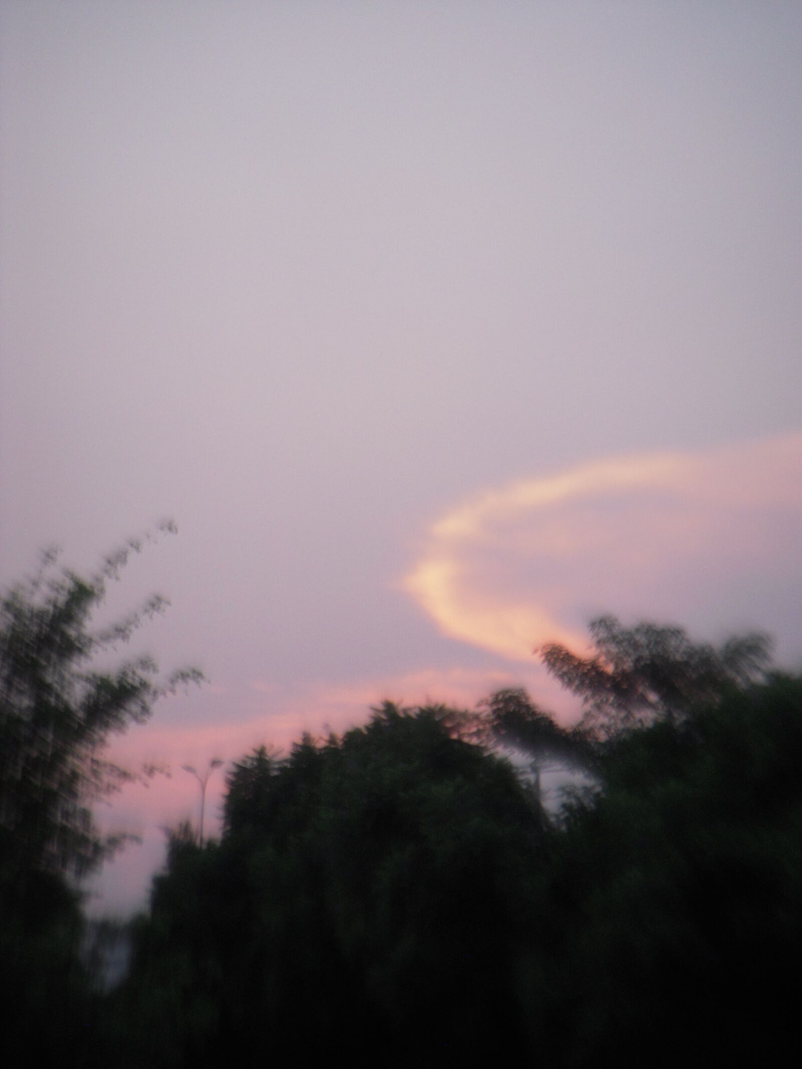 Nikon Coolpix S52 sample photo