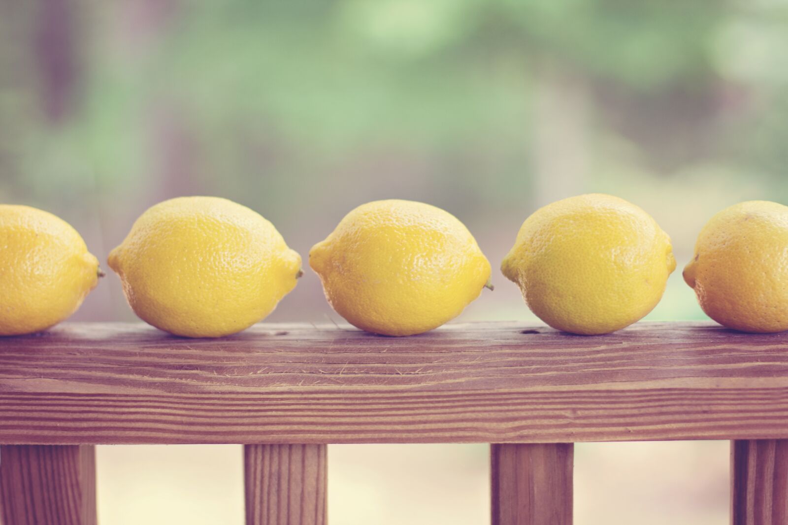 Canon EOS 60D + Canon EF 50mm F1.4 USM sample photo. Lemons, yellow, row photography