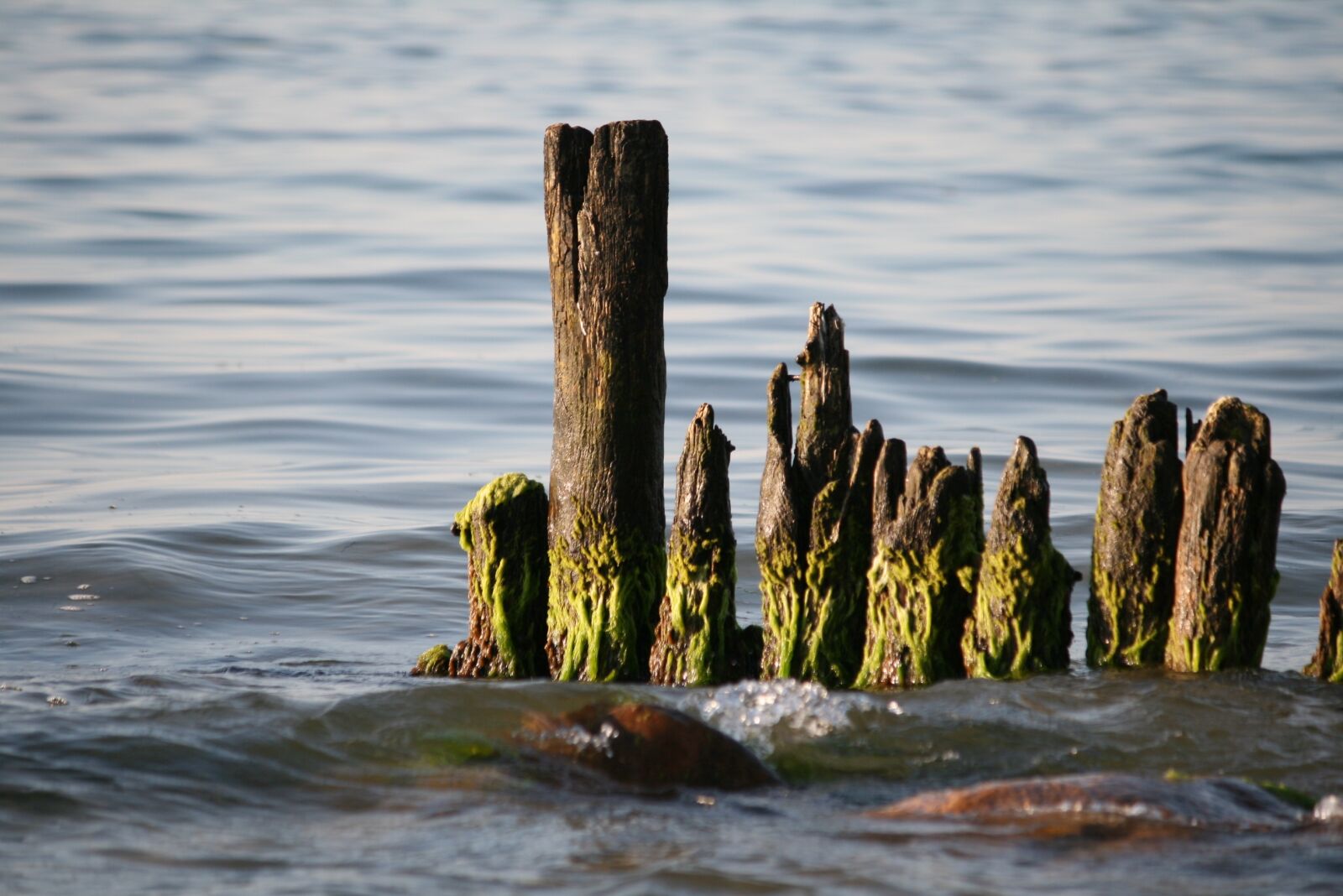 Canon EOS 400D (EOS Digital Rebel XTi / EOS Kiss Digital X) sample photo. Sea, wooden, ocean photography