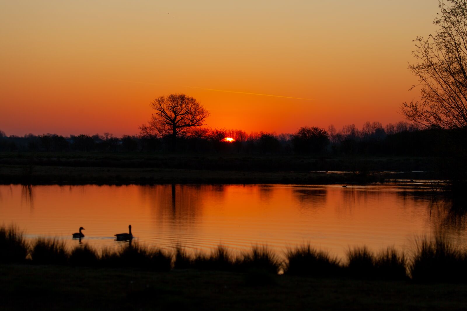 Canon EOS 5D Mark II sample photo. Sunrise, water, tree photography