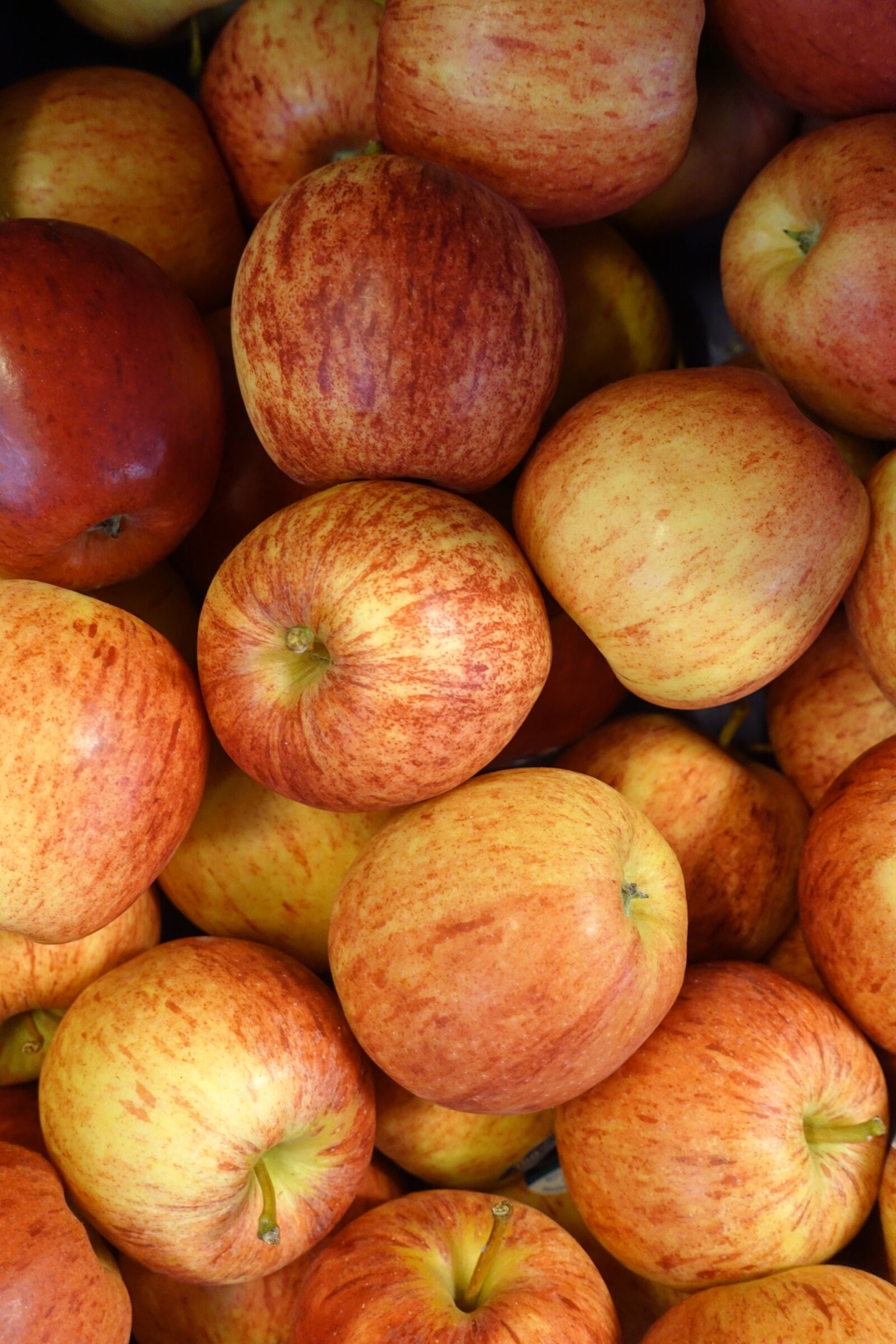 Sony Cyber-shot DSC-RX100 III sample photo. Apple, red apple, fruit photography