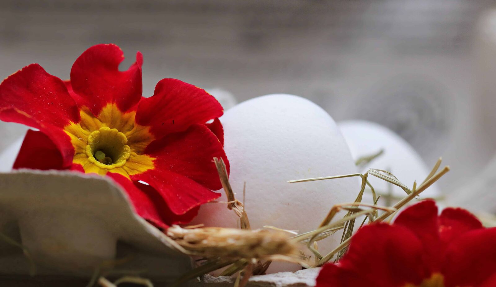 Canon EOS 80D sample photo. Easter egg, still life photography
