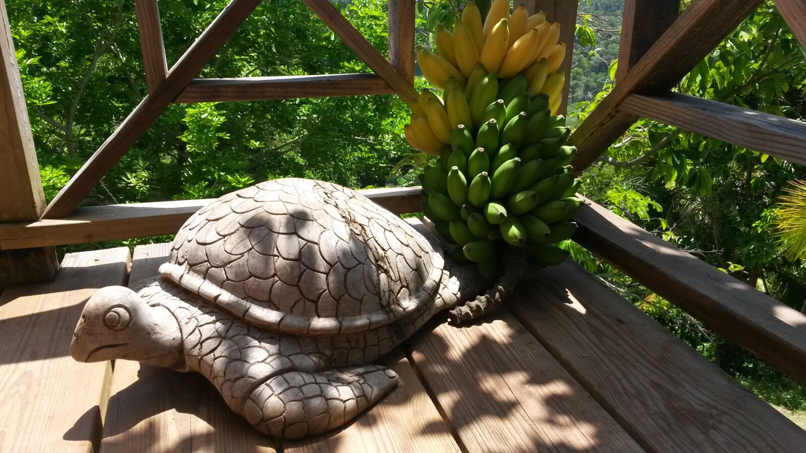 Samsung Galaxy S4 Active sample photo. Turtle, bananas, woodwork photography