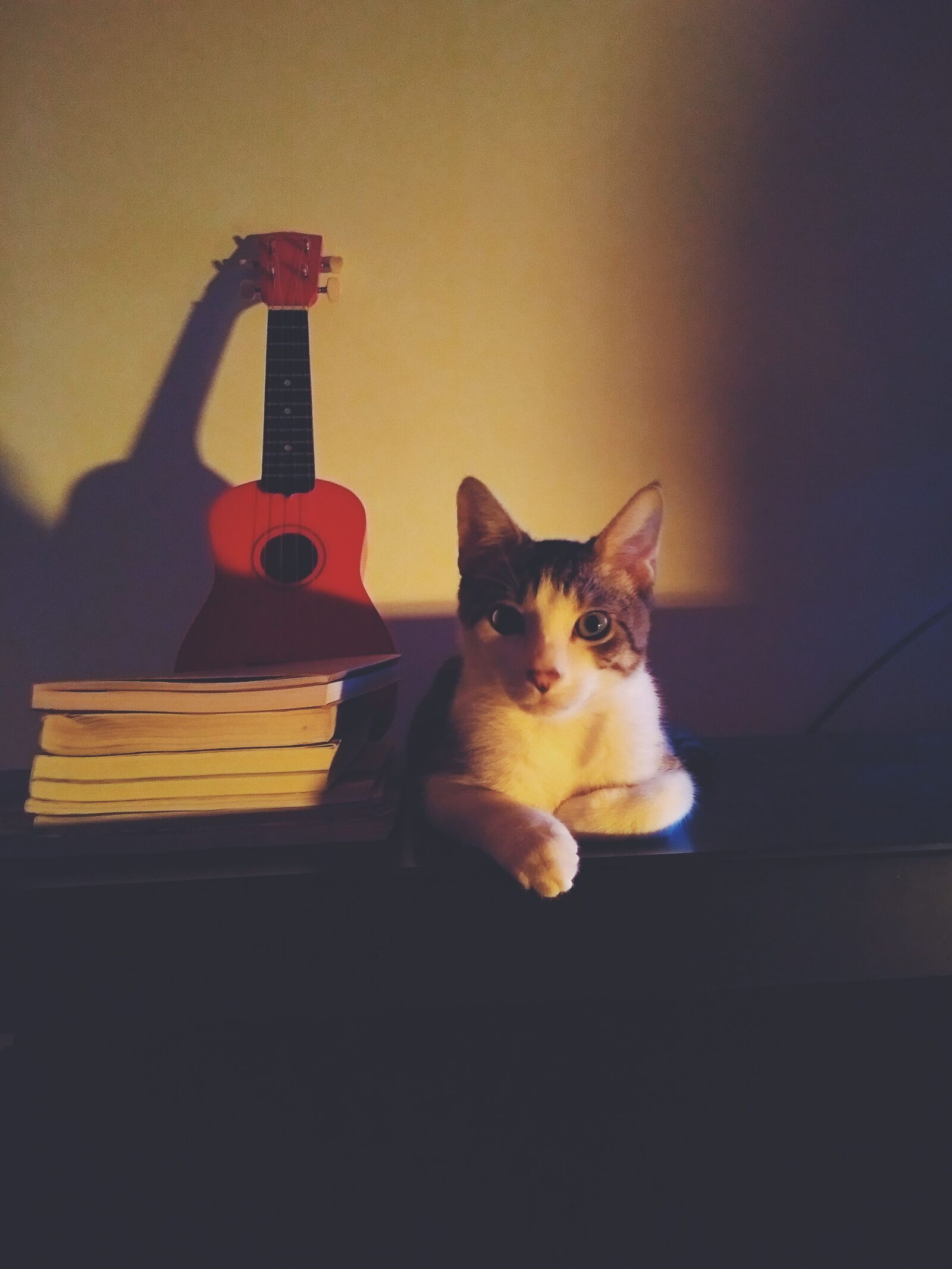 Motorola Moto G (5th Gen) sample photo. Cat, ukulele, books photography