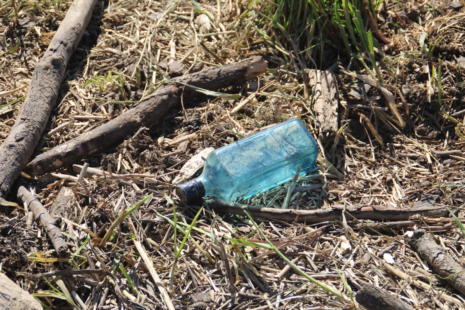 Canon EOS 100D (EOS Rebel SL1 / EOS Kiss X7) sample photo. Bottle, empty bottle, vintage photography
