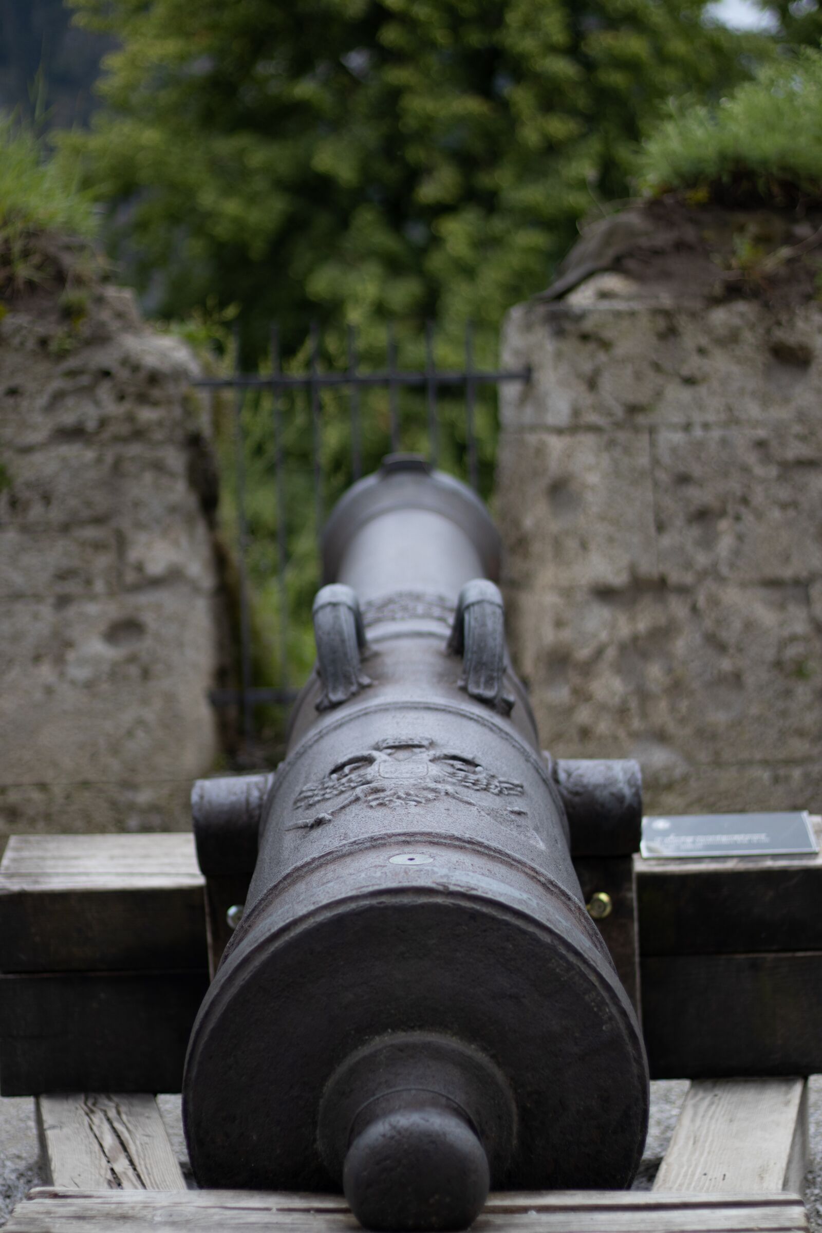 Canon EOS 250D (EOS Rebel SL3 / EOS Kiss X10 / EOS 200D II) + Canon EF 50mm F1.8 STM sample photo. Cast steel gun, cannon photography