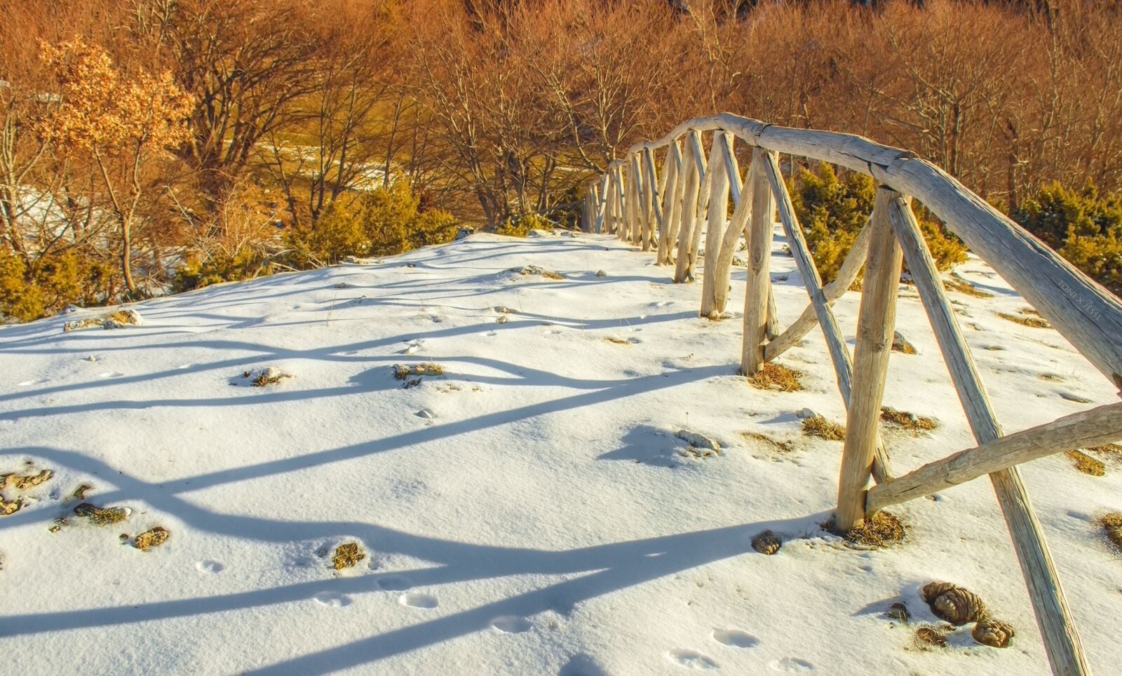 Canon EOS 600D (Rebel EOS T3i / EOS Kiss X5) sample photo. Winter, nature, snow photography