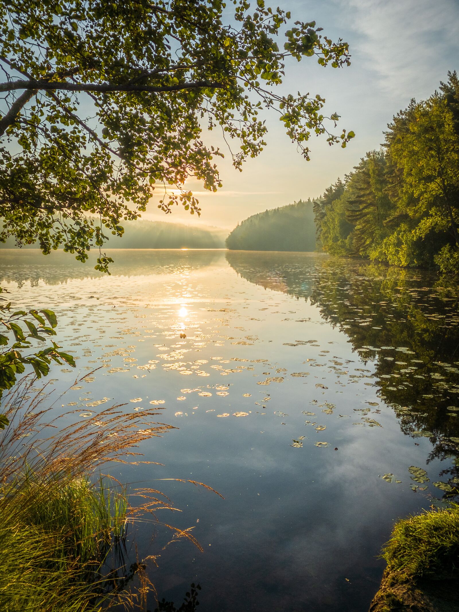 Apple iPhone XR sample photo. Landscape, lake, nature photography