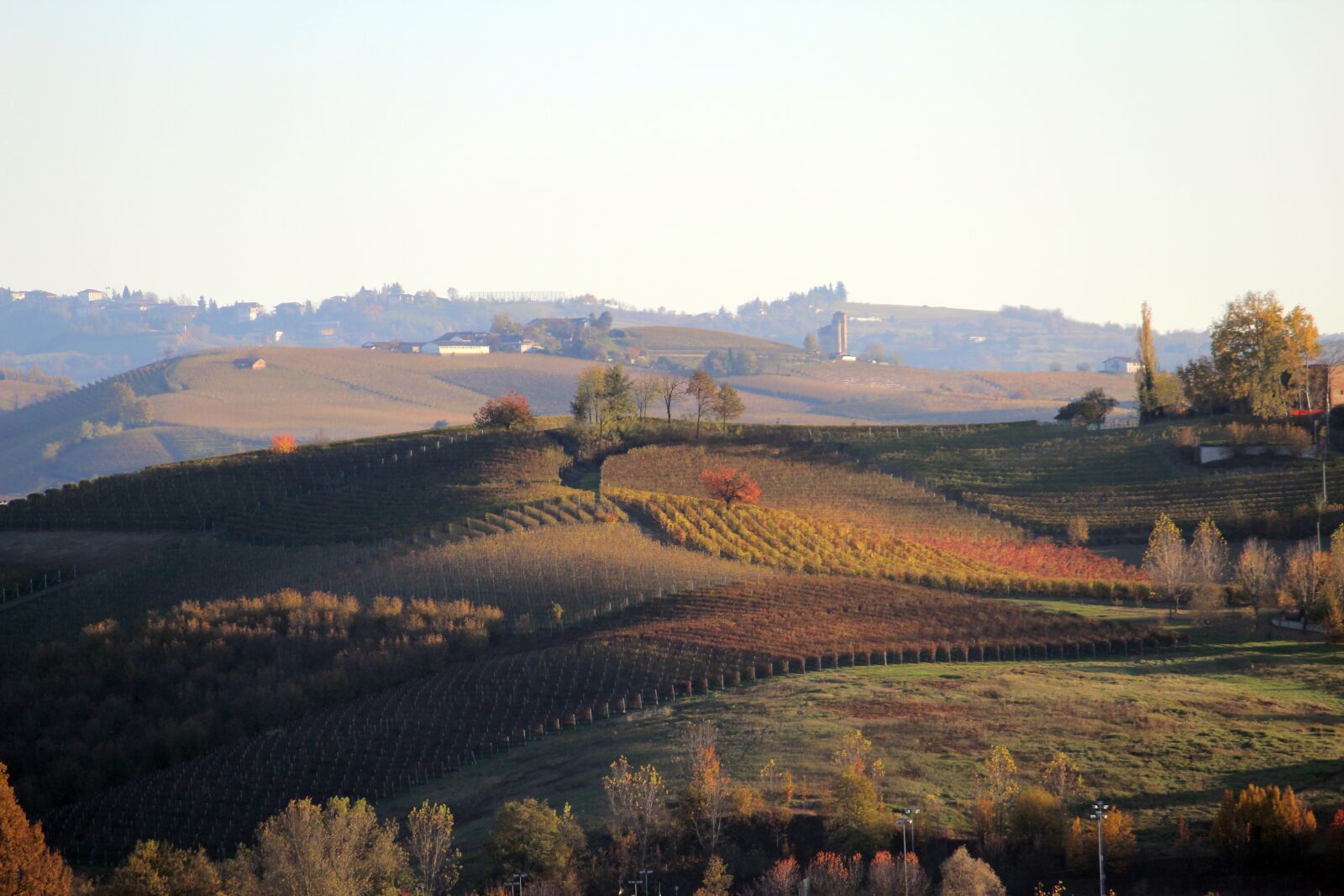 Canon EOS 600D (Rebel EOS T3i / EOS Kiss X5) + Canon EF-S 55-250mm F4-5.6 IS sample photo. Langhe, unesco, barolo photography