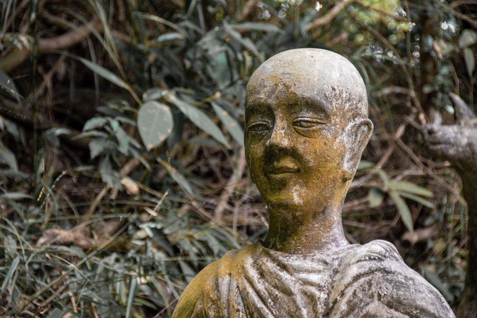 Nikon D5600 sample photo. Statue, monk, buddha photography