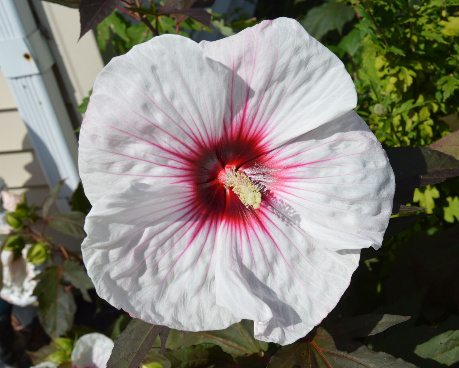 Nikon D3200 sample photo