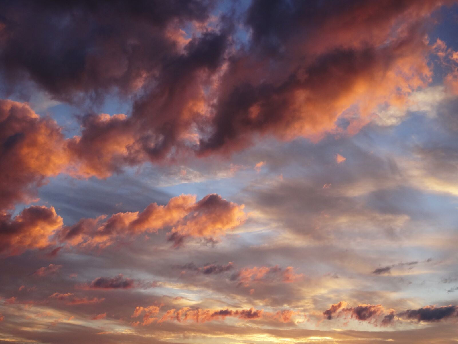 Sony DSC-HX50 sample photo. Sky, evening sky, clouds photography