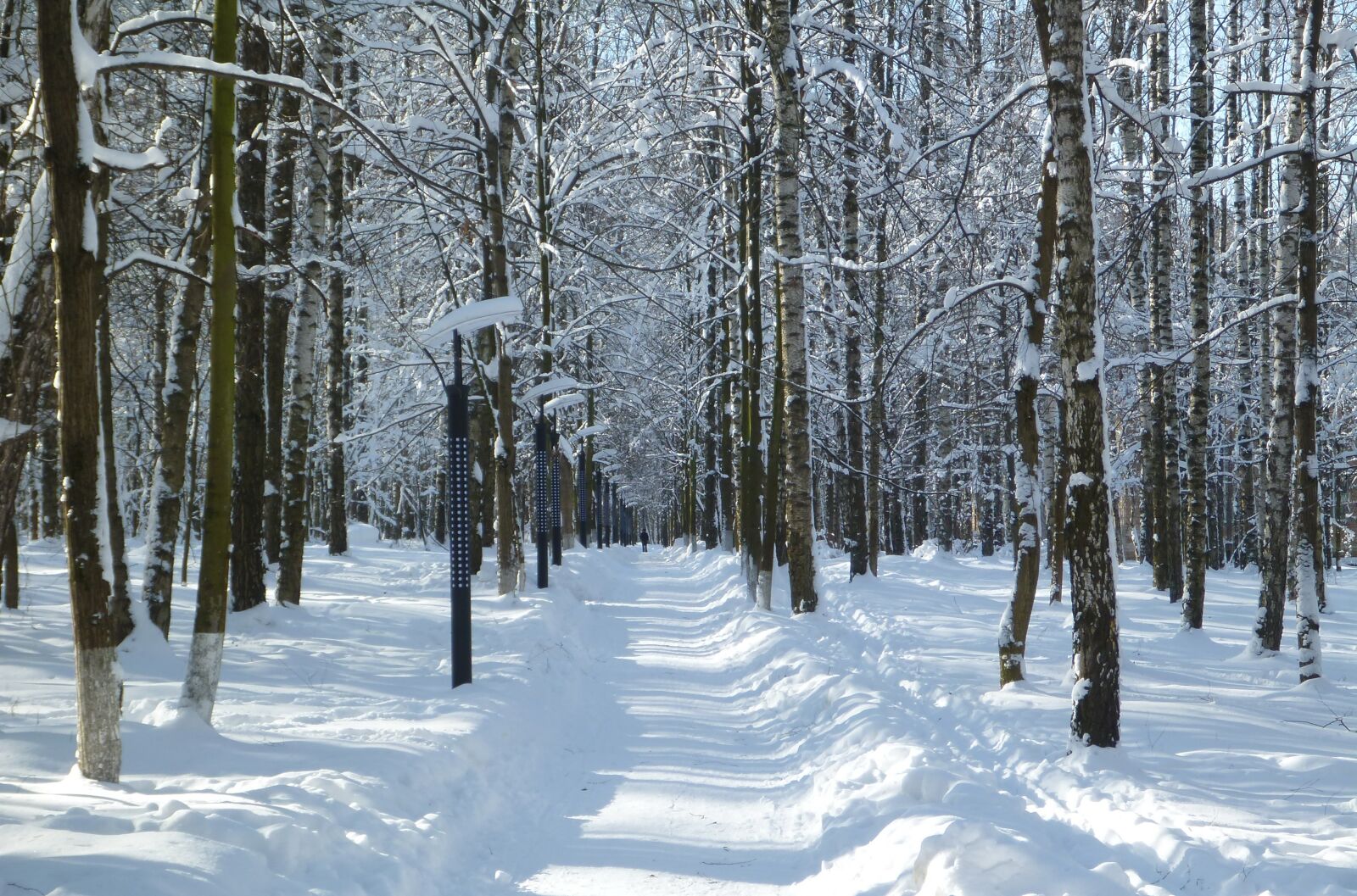 Panasonic DMC-FT4 sample photo. Winter, snow, landscape photography
