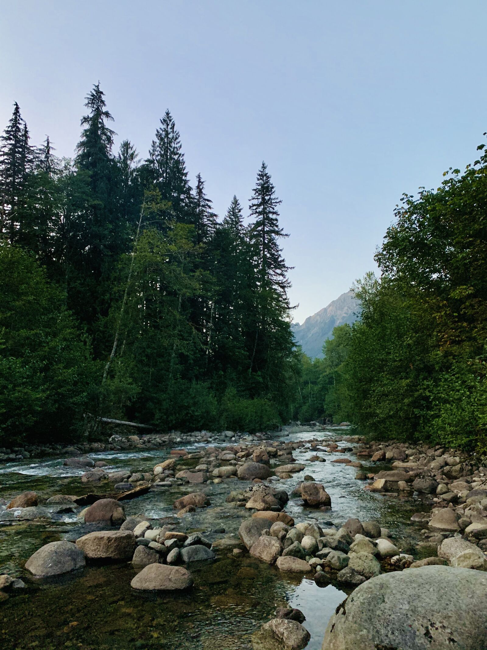iPhone XR back camera 4.25mm f/1.8 sample photo. River, camping, nature photography