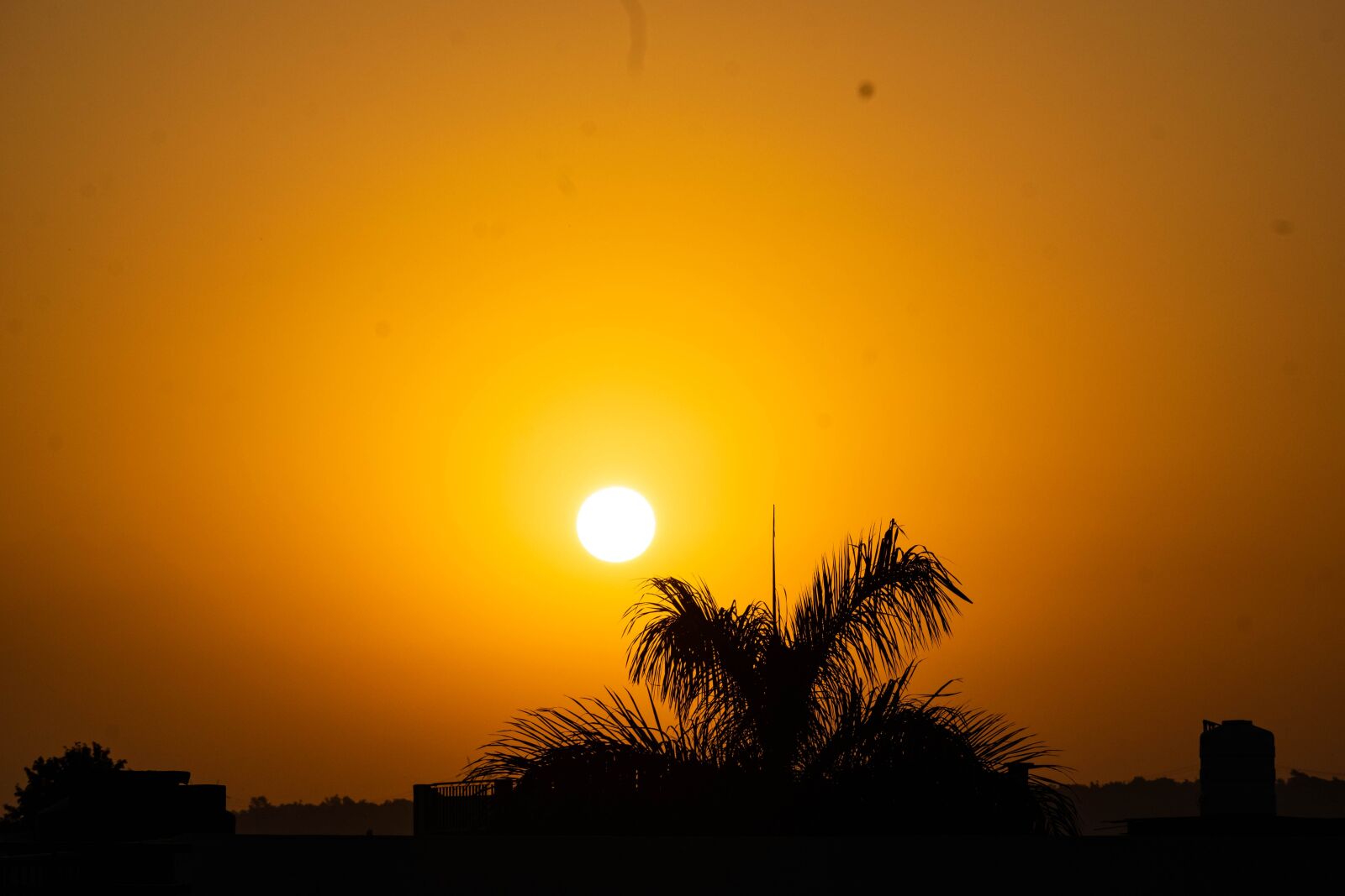Nikon D3300 sample photo. Sunrise, sun, morning photography
