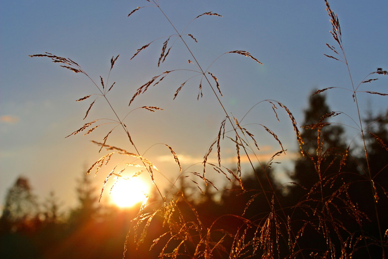 Canon EOS 650D (EOS Rebel T4i / EOS Kiss X6i) sample photo. Abendstimmung, sunset, sun photography