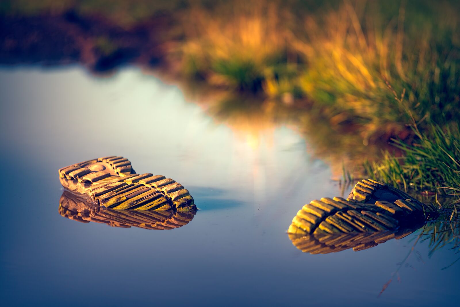 DT 70-200mm F4 SAM sample photo. Shoe, water, mirroring photography