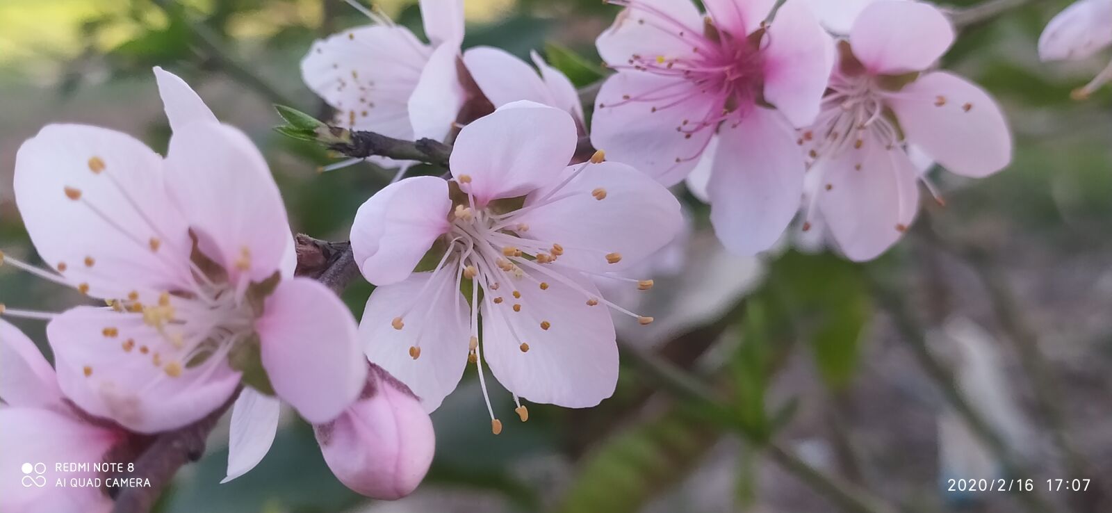Xiaomi Redmi Note 8 sample photo. Ramadan kareem, ramadan mubarak photography