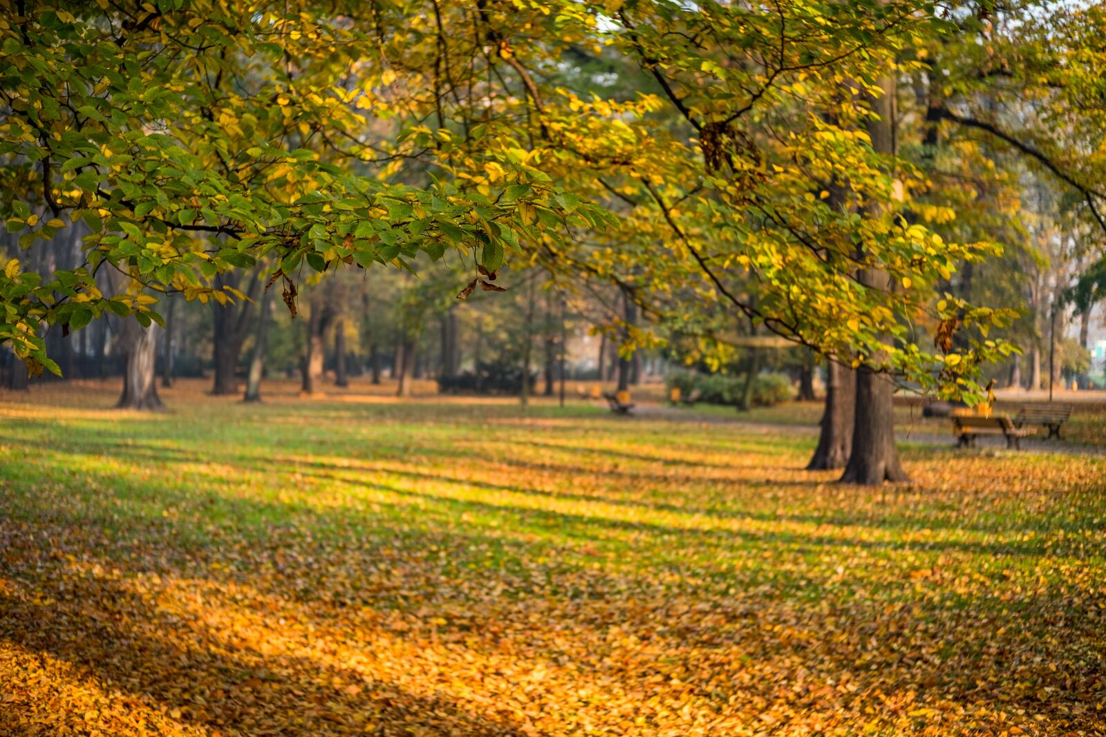 Fujifilm X-E2 sample photo. Gliwice, park, autumn photography