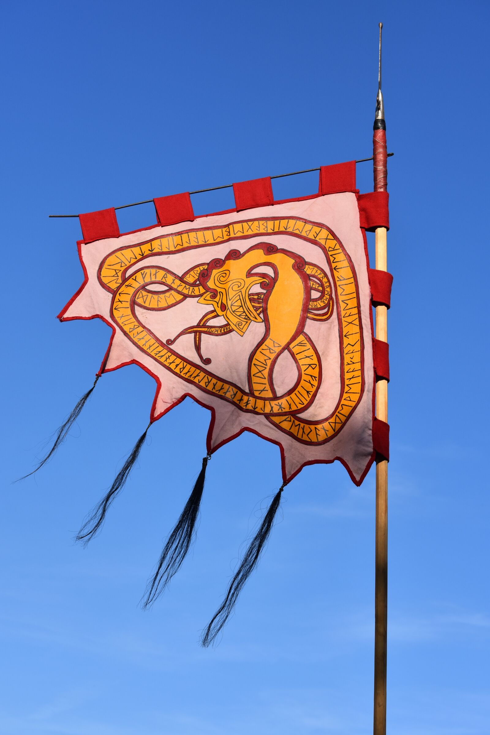 Nikon D7200 sample photo. Flag, banner, symbol photography