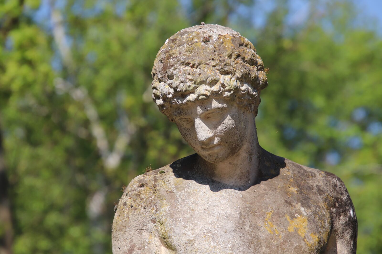 Canon EOS 800D (EOS Rebel T7i / EOS Kiss X9i) sample photo. Sculpture, pierre's size, patina photography
