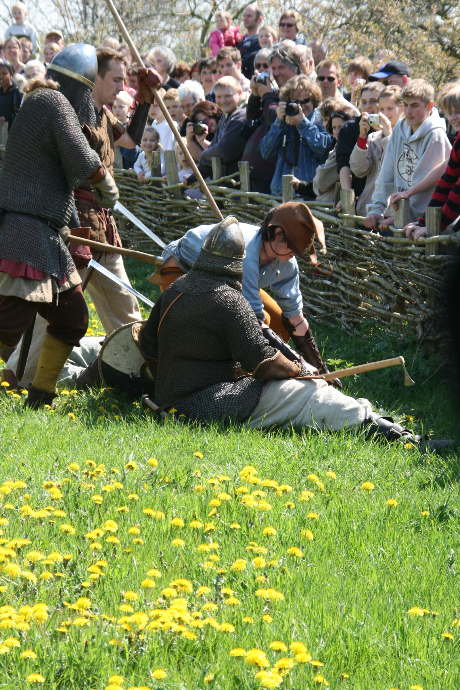 Sigma 18-200mm f/3.5-6.3 DC OS sample photo. Vikings photography