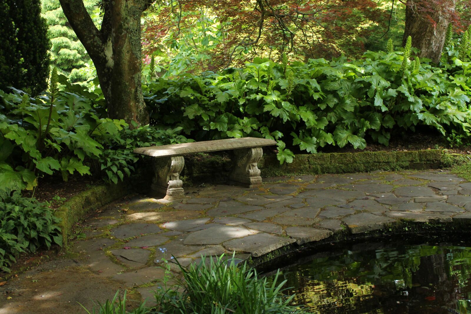 Canon EOS 1100D (EOS Rebel T3 / EOS Kiss X50) sample photo. Garden, secret, vintage photography