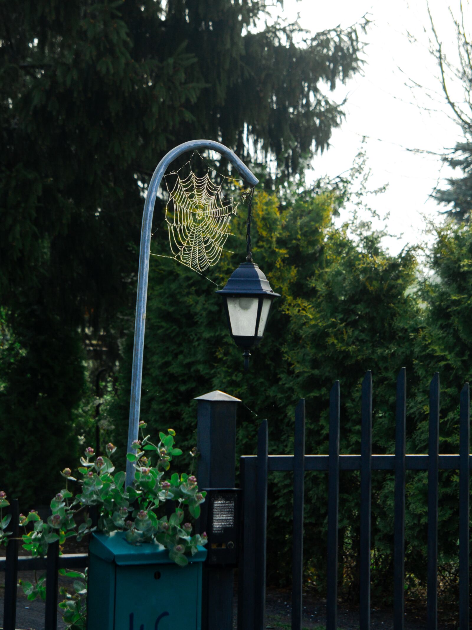 Tamron SP AF 17-50mm F2.8 XR Di II LD Aspherical (IF) sample photo. Lantern, house, gateway photography