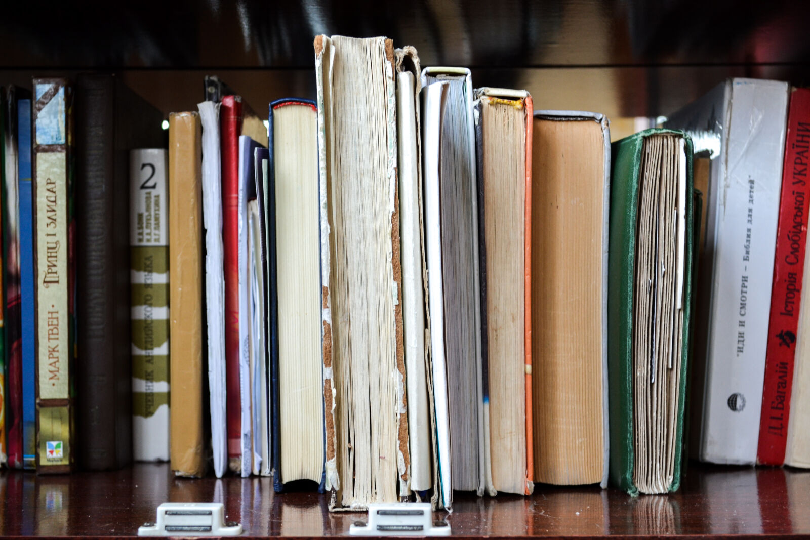 Nikon D3100 sample photo. Books, in, shelf photography