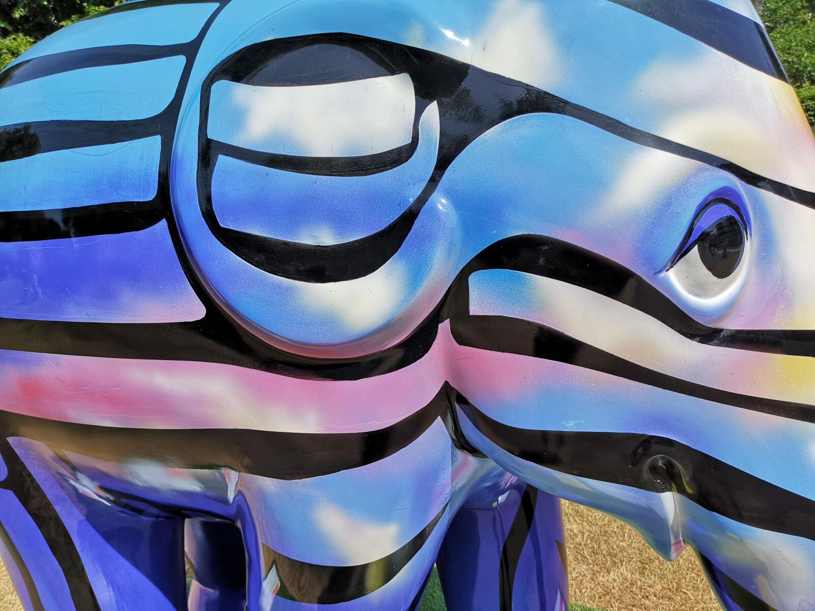 HUAWEI CLT-L09 sample photo. Elephant, blue, artist photography