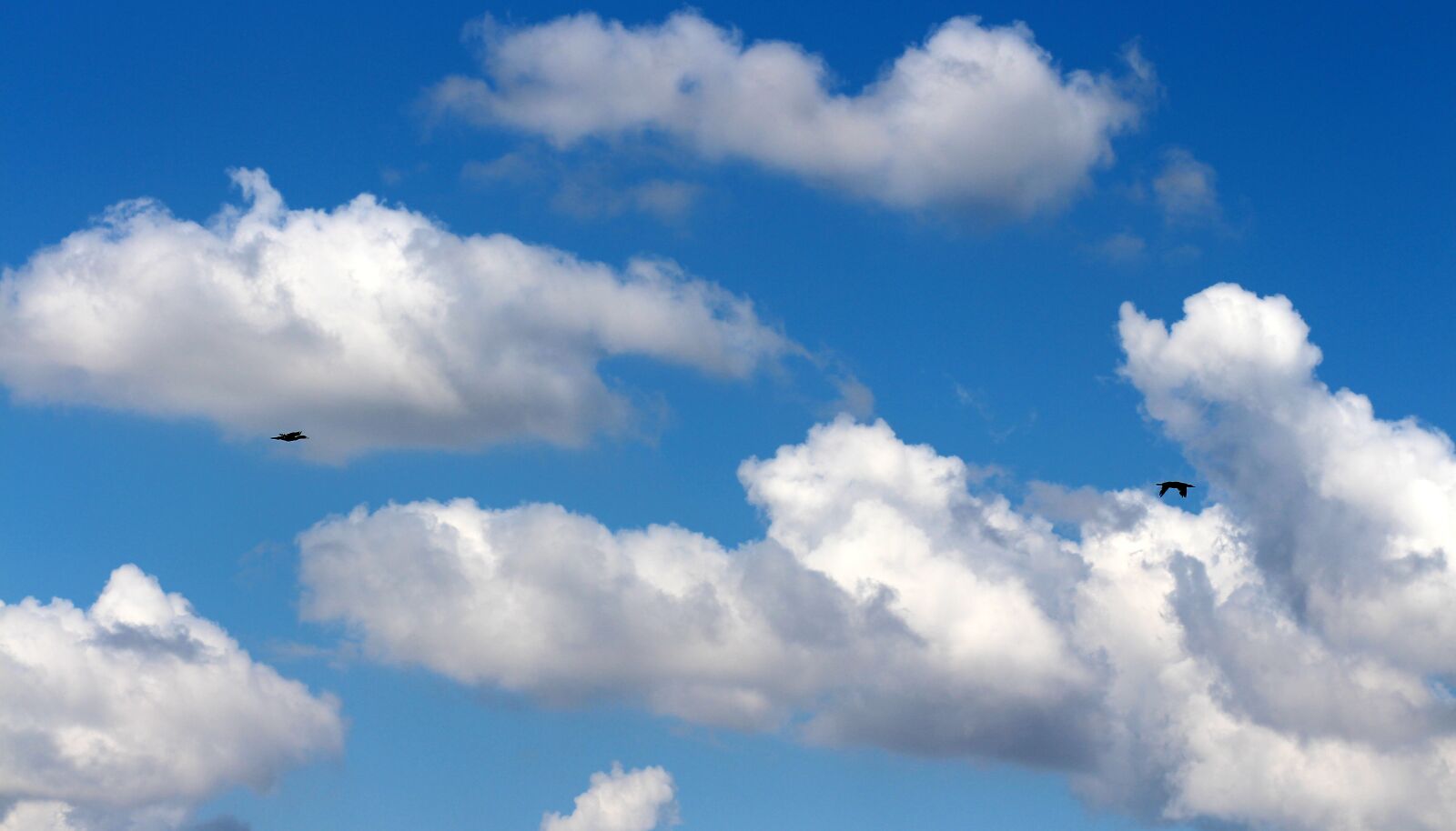 Canon EOS 700D (EOS Rebel T5i / EOS Kiss X7i) + Canon EF 85mm F1.8 USM sample photo. Sky, cloud, white photography