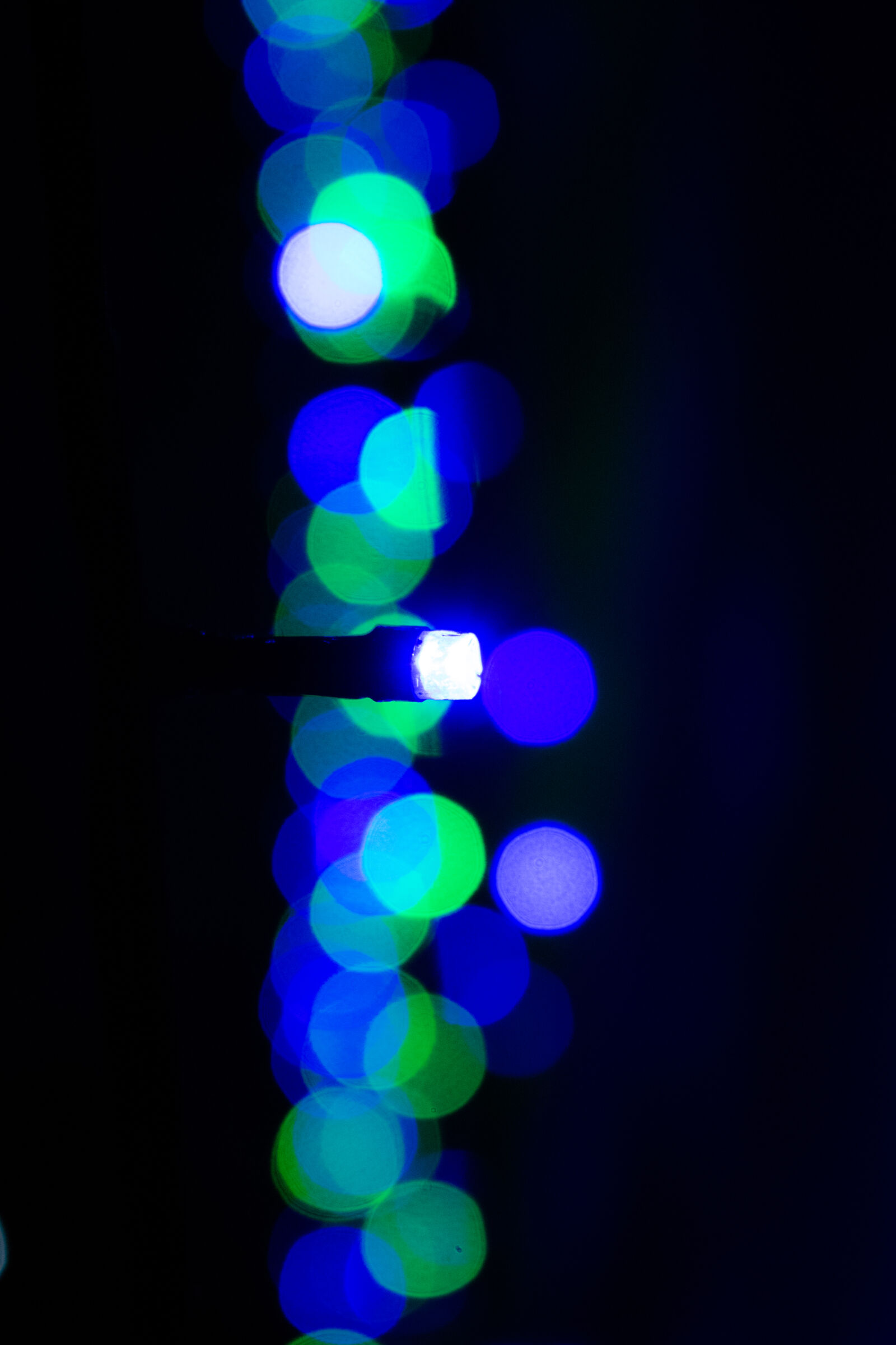 Nikon D3300 sample photo