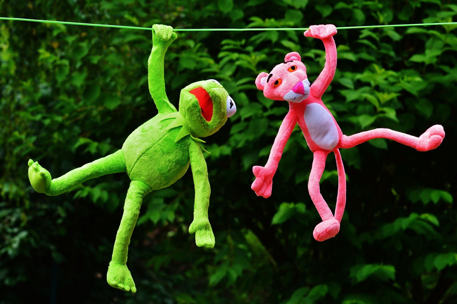 Nikon D3200 sample photo. Hang out, plush toys photography