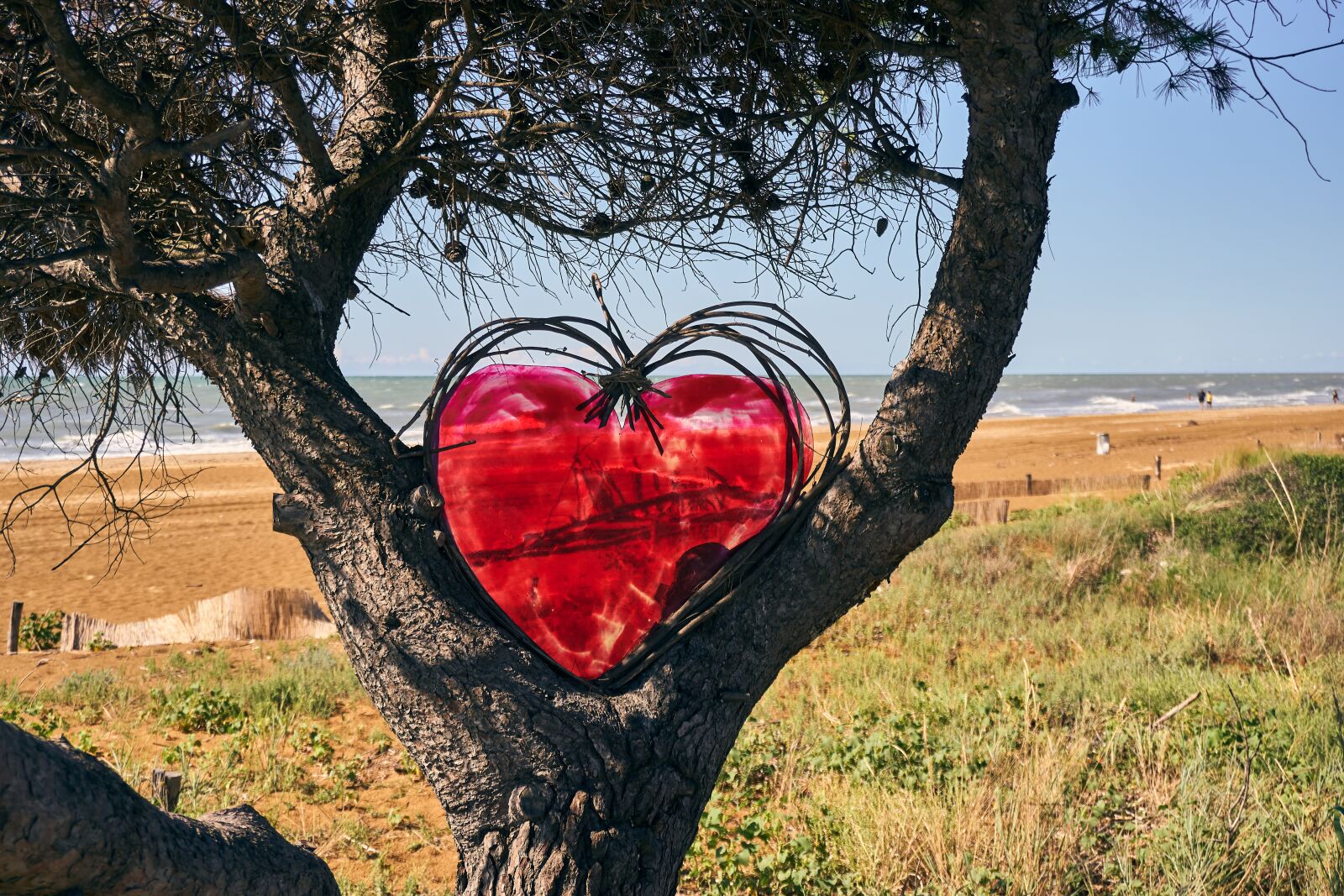 Sony a6400 sample photo. Heart, decoration, tree photography