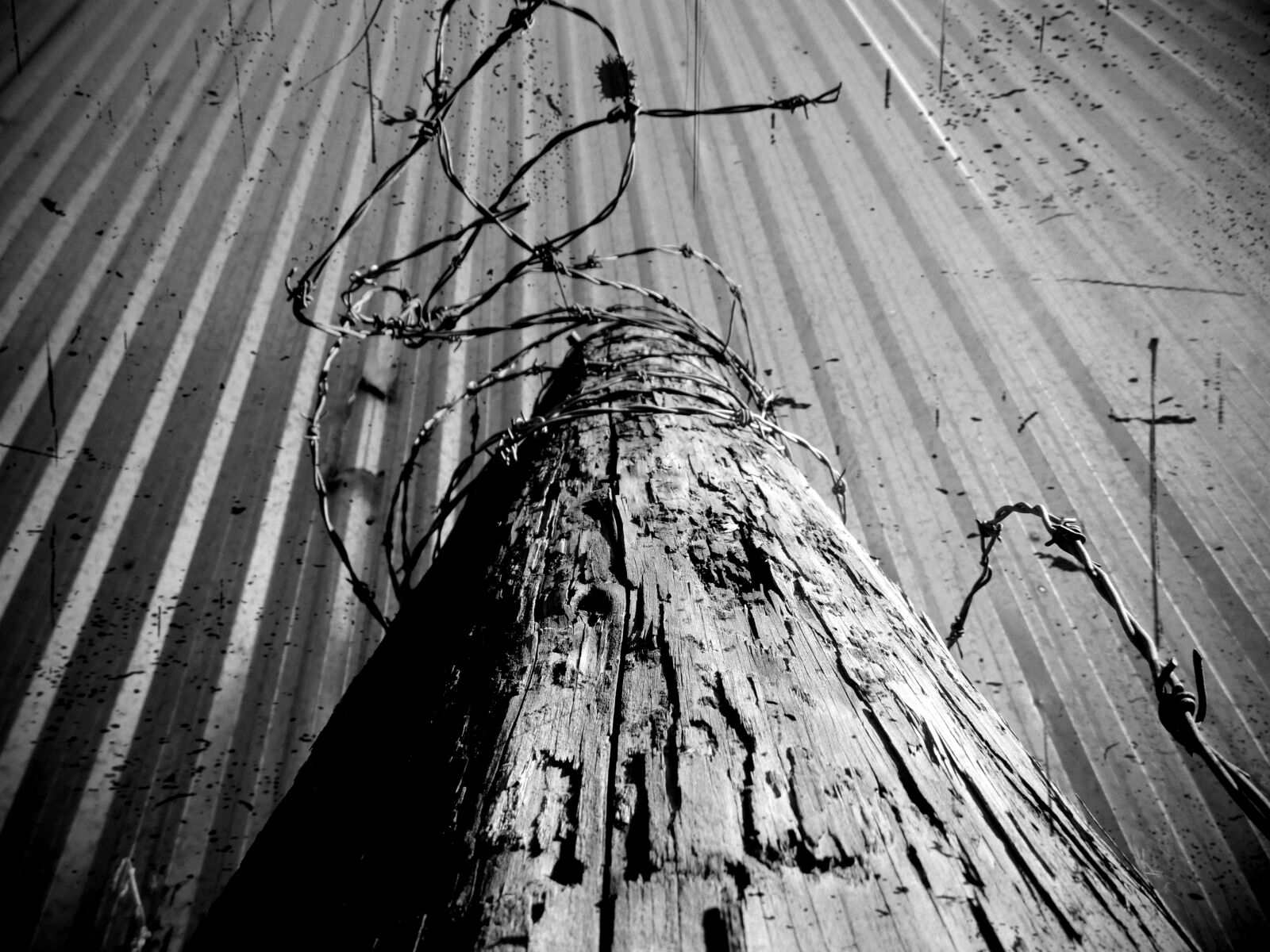 Samsung WB100/  WB101 sample photo. Alambre, puas, poste photography