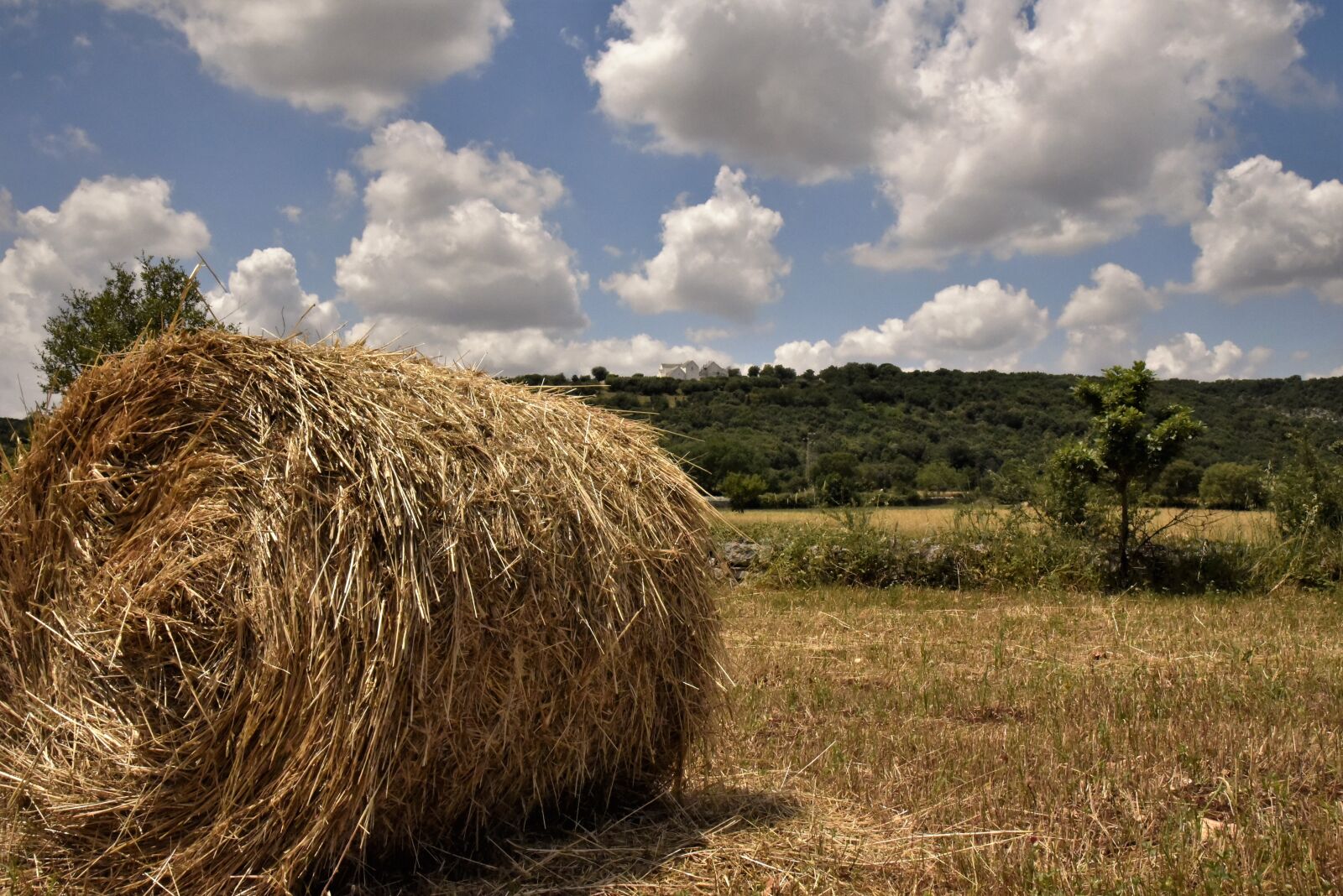 Nikon D750 sample photo. Barsento, the countryside of photography