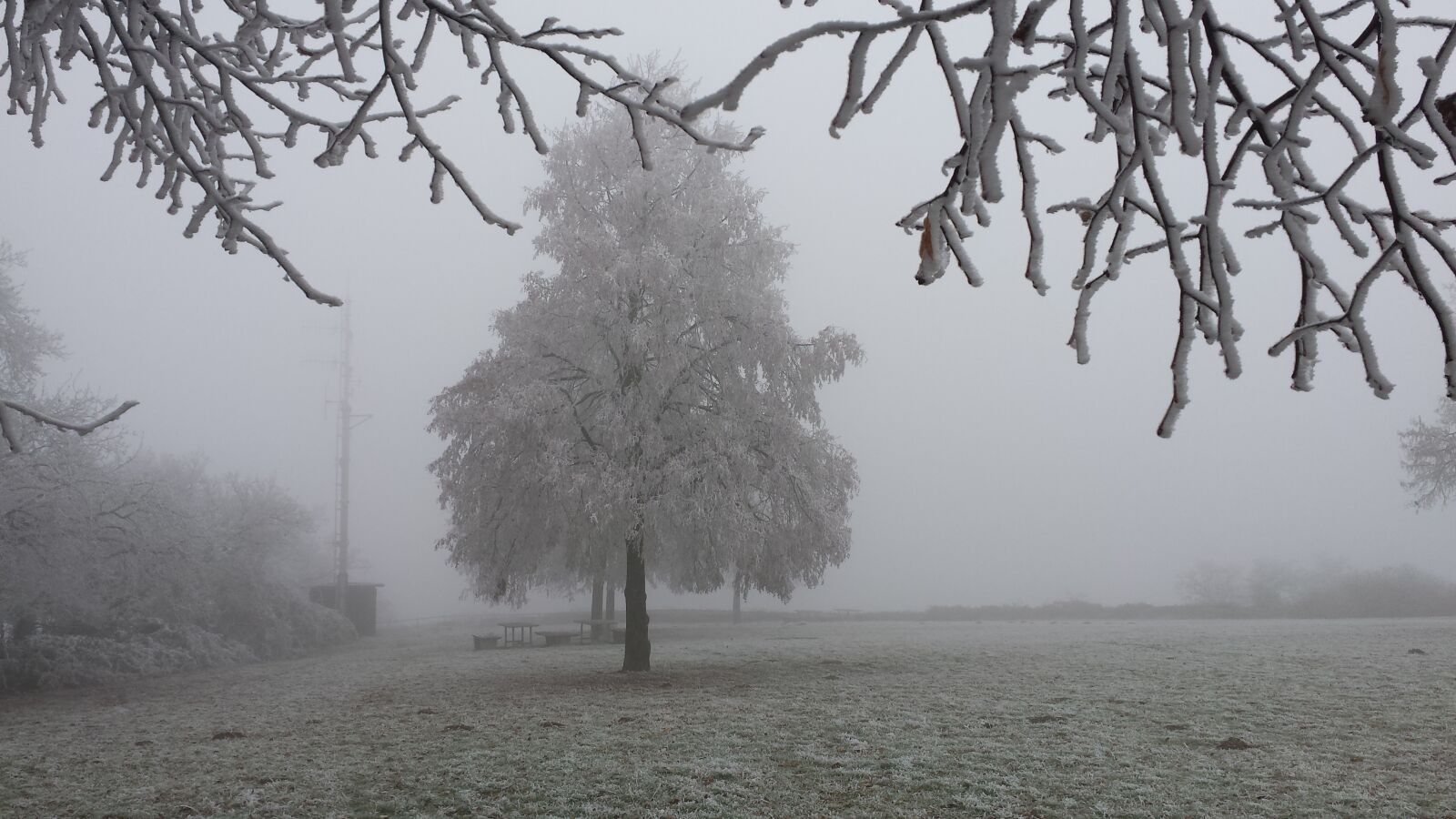 Samsung Galaxy S4 sample photo. Morning frost, ripe, wintry photography